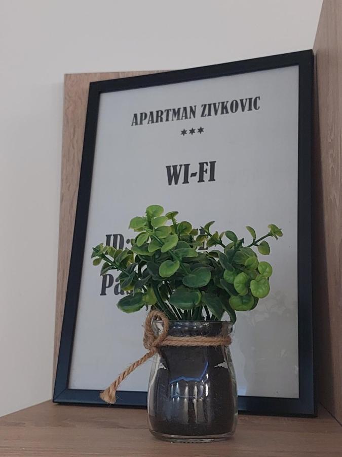 Apartman Zivkovic Leskovac  Luaran gambar